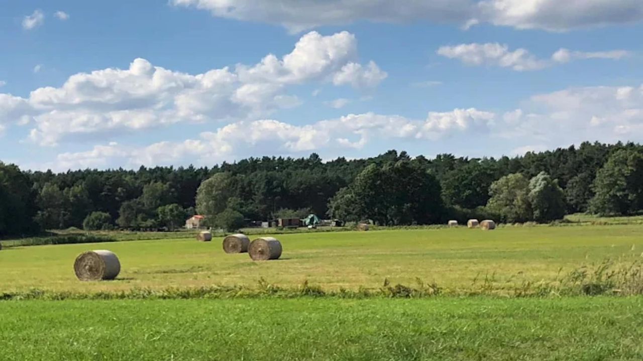 AreaSummer5KM AreaSummer5KM